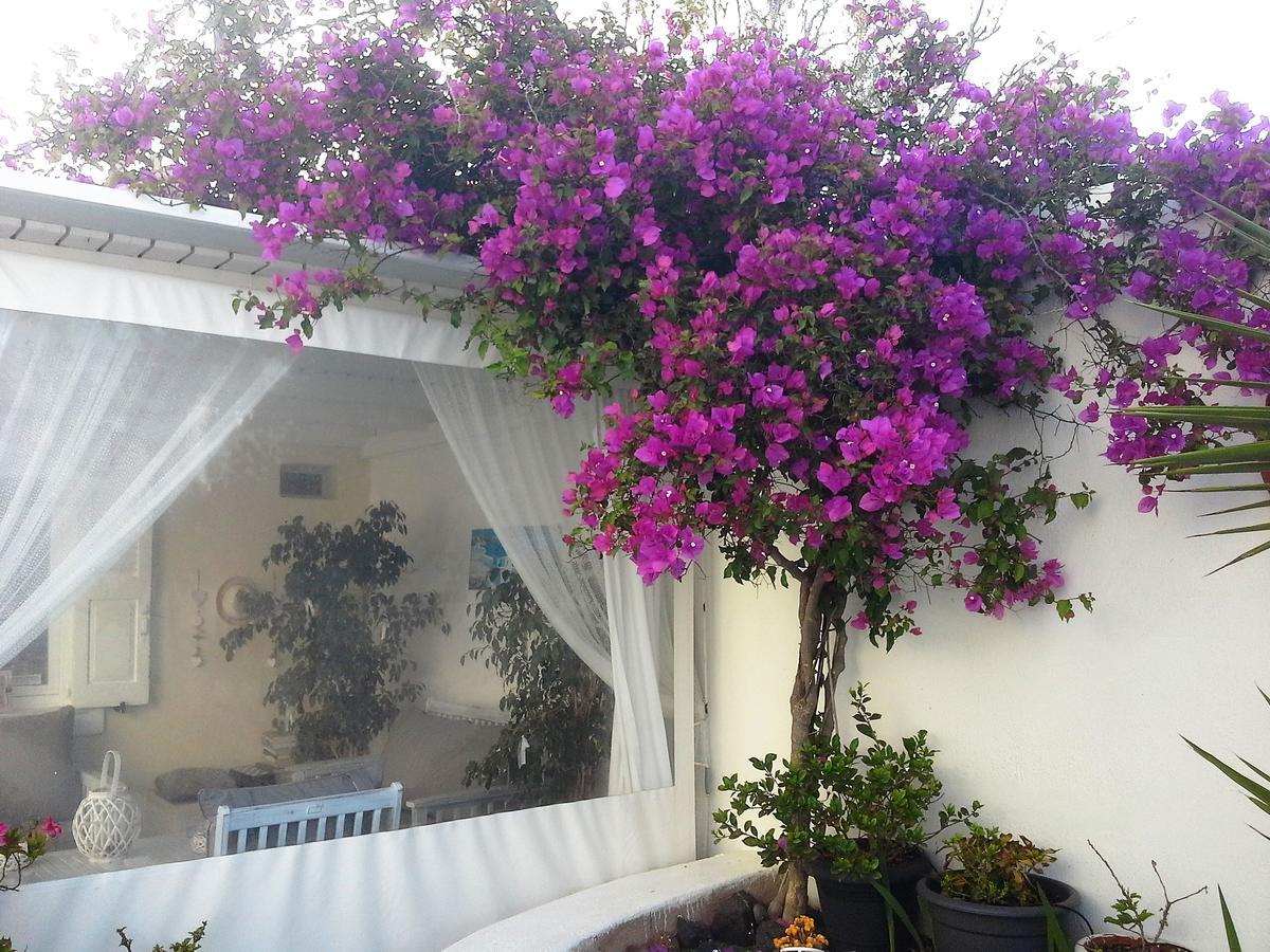 Kiklamino Sunset Studios Oía Dış mekan fotoğraf